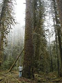 �J�i�_�̌�����